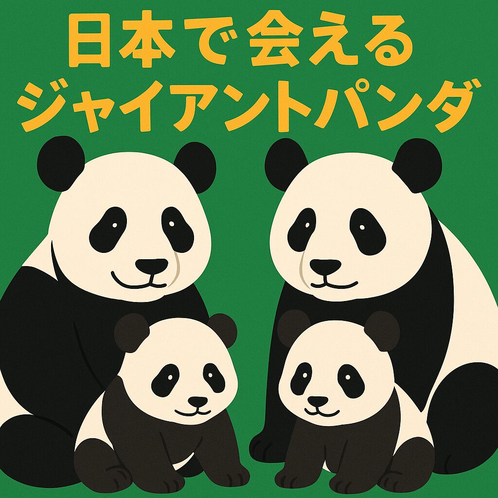 ジャイアントパンダ